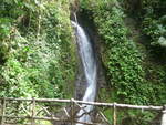 (211'196) - Catarata Morpho Azul im Mistico am 14.
