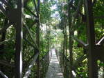 (211'202) - Puente Hormiguero im Mistico am 14.