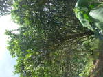 (211'572) - Natur am 18.