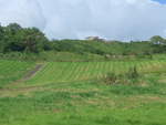 (211'462) - Blick zum Drehrestaurant am 16.