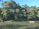(212'165) - Am Rio Sapoa am 23.