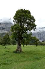 (280'485) - Ahorne am 17.