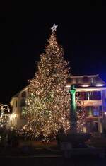 (282'395) - Weihnachtsbaum am 14.