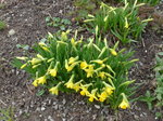 (169'654) - Aprilglocken am 2.