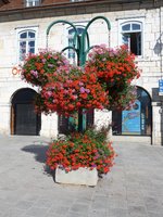 (173'555) - Blumenarragement am 1.