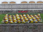 (193'288) - Blumen am 21.
