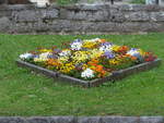 (193'289) - Blumen am 21.