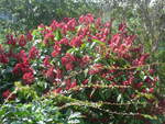 (211'633) - Natur am 19.