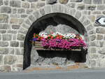 (241'091) - Blumenschmuck in der Mauer am 12.