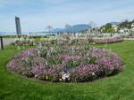 (249'606) - Blumenbeet am 5.