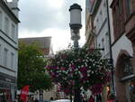 (254'600) - Blumenschmuck am 1.