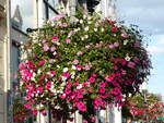 (254'602) - Blumenschmuck am 1.