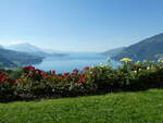 (254'819) - Der Thunersee am 5.