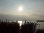 (156'859) - Schilf am Wattenmeer am 19.