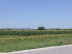 (207'063) - Getreidefeld am 3.