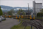 A swanky new fleet of trains für die Geburtsstätte der Eisenbahn. 

Als wären wir im Depot der Tyne & Wear Metro. Von links 555 007, 555 011, 555 014, der sich links und rechts von 555 006 vorne zeigt und ganz rechts 555 010. Arbon, April 2024.