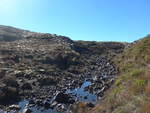 (191'369) - Kleiner Bergbach im Tongariro-Nationalpark am 25.