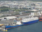 (190'748) - Der Tanker Glovis am 21.