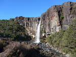 (191'335) - Der Taraniki-Wasserfall am 25.