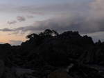 (190'782) - Am Strand am 21.
