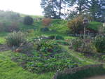 (190'991) - Hobbiton-Landschaft am 22.