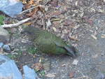 (191'473) - Kea am 26.