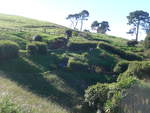 (190'903) - Hobbiton-Landschaft mit Husern am 22.