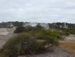 (191'028) - Im Wai-O-Tapu Thermal Wonderland am 23.
