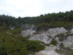 (191'030) - Im Wai-O-Tapu Thermal Wonderland am 23.