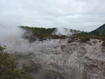 (191'039) - Im Wai-O-Tapu Thermal Wonderland am 23.