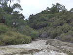 (191'097) - Bach im Wai-O-Tapu Thermal Wonderland am 23.