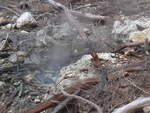 (191'136) - Im Wai-O-Tapu Thermal Wonderland am 23.