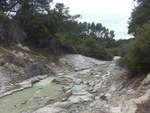 (191'151) - Bach im Wai-O-Tapu Thermal Wonderland am 23.