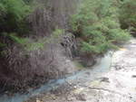 (191'163) - Bchli im Wai-O-Tapu Thermal Wonderland am 23.