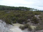 (191'184) - Fluss im Wai-O-Tapu Thermal Wonderland am 23.