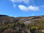 (191'394) - Im Tongariro-Nationalpark am 25.