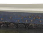 (212'128) - Fledermuse am Boot am 22.