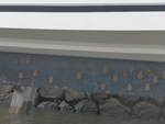(212'129) - Fledermuse am Boot am 22.