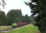 277 004 alias V1700.03 mit einem leeren Holzzug aus Wiesau nach Cheb kurz vor Pechbrunn.