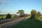 193 980-0 zieht bei Pölling ein Containerzug gen Norden. 14.05.24