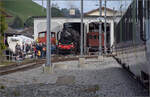 Dampftage Huttwil 2024 mit Diesel, Elektro und Dampfgiganten.

Der Stargast 241-A-65 stand mit mit Blessuren in Huttwil im Depot. Rechts von ihr befindet sich der Halbesel Te 2/3 31. Oktober 2024.