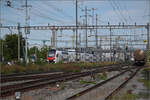 RABe 512 027 in Pratteln. August 2025.