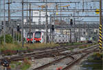 pratteln-6/893764/rabe-512-029-begegnet-rabe-512 RABe 512 029 begegnet RABe 512 004 und RABe 512 031 in Pratteln. August 2025.