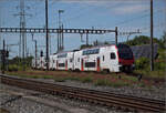 pratteln-6/893812/rabe-512-030-ir-dosto-team-in RABe 512 030 'IR Dosto-Team' in Pratteln. August 2025.