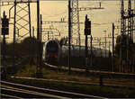 RABe 512 037 und RABe 512 007 in Pratteln.