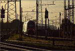 RABe 512 037 und RABe 512 007 in Pratteln.