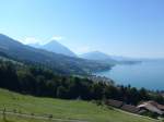 (164'286) - Der Niesen + Thunersee am 30.