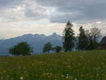 (192'970) - Stockhorn und Bume am 11.