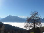 (222'862) - Nebelmeer ber dem Thunersee am 27.