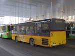 (214'253) - CarPostal Ouest - NE 49'619 - Solaris am 16.